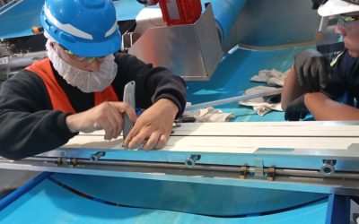 Planta simplot, entrenamiento al personal sobre union y reparacion de bandas homogeneas